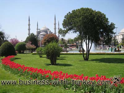 Consultoria atravs de conversa telefnica
  sobre qualquer assunto relativo aos Turcos e a Turquia