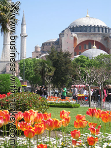 Istanbul Travel Guide