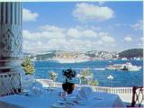 Bosphorus view