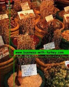 Especias ex�ticas en el Bazar Egpicio