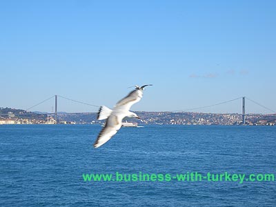 Ataturk Bridge and the bosphorus