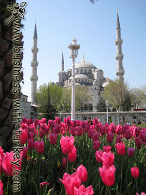 Blue Mosque and Golden Horn