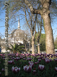 Mesquita de Eyup 