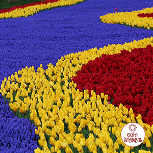 Primavera na Turquia - Festival de tulipas em Istambul