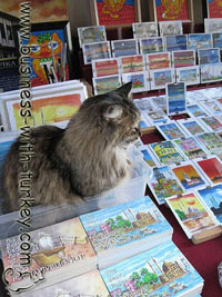 Istanbul Cats