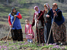 Mulheres da zona rural turca
