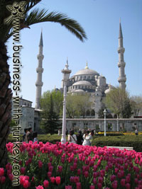 Spring in Istanbul photo album