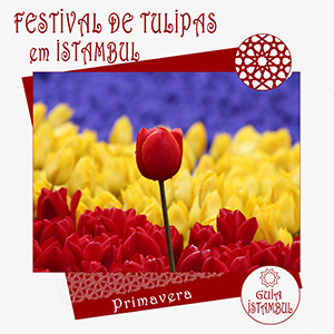 Primavera na Turquia - Festival de tulipas em Istambul